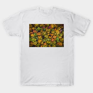 Aerial top down view view of vibrant color autumn forest T-Shirt